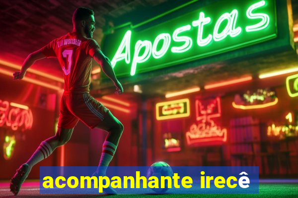 acompanhante irecê