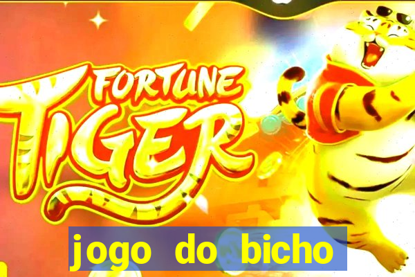 jogo do bicho tipos de apostas