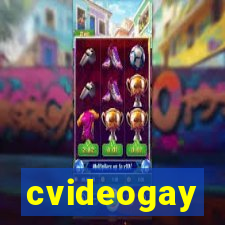 cvideogay