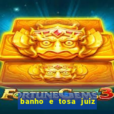 banho e tosa juiz de fora