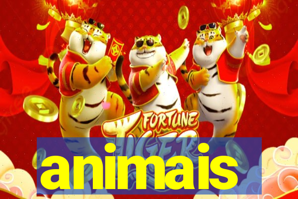 animais-pg.com