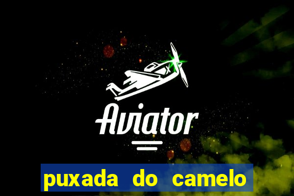 puxada do camelo no jogo do bicho