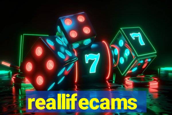 reallifecams