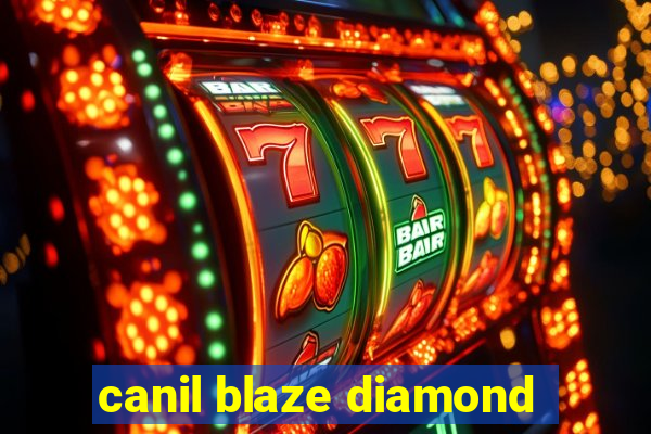 canil blaze diamond