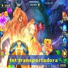 tnt transportadora