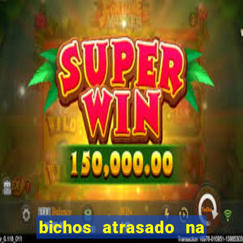 bichos atrasado na loteria dos sonhos