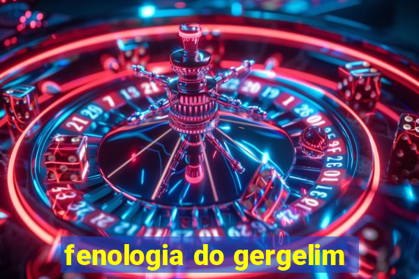 fenologia do gergelim